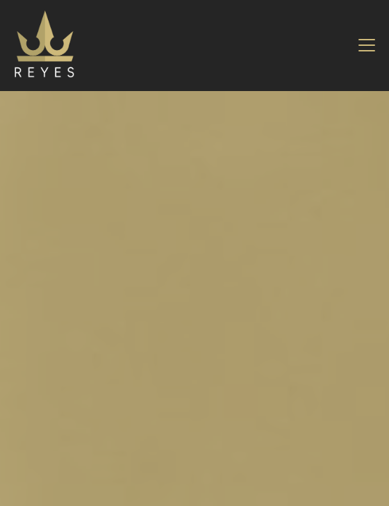 Reyes Master Agency Mobile Live Scroll Interaction